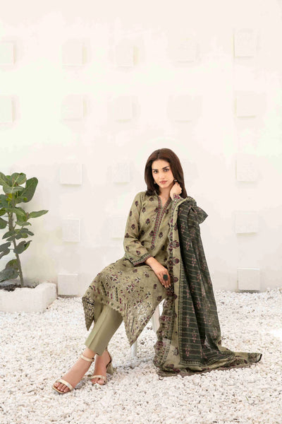 Ayna - Embroidered Printed Lawn Suit With Cotton Trouser | Ready To Wear