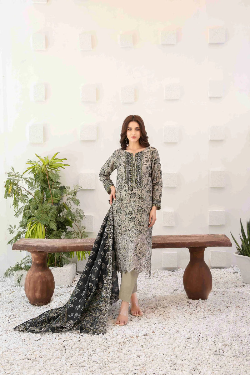 Ayna - Embroidered Printed Lawn Suit With Cotton Trouser | Ready To Wear