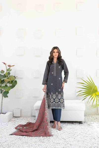 Ayna - Embroidered Printed Lawn Suit With Cotton Trouser | Ready To Wear