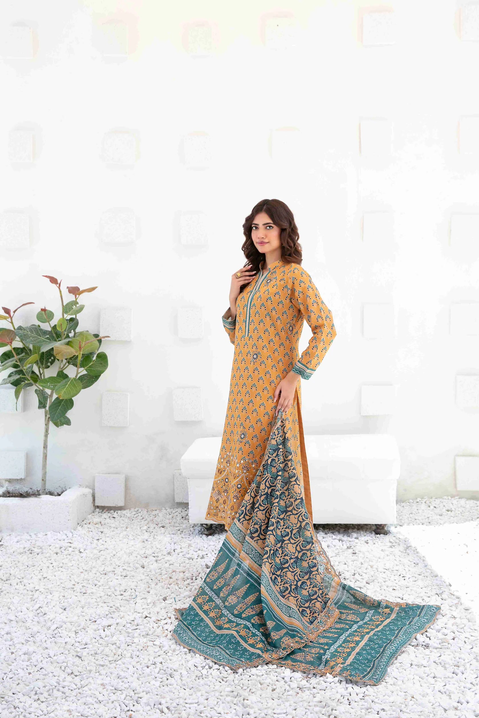 Ayna - Embroidered Printed Lawn Suit With Cotton Trouser | Ready To Wear