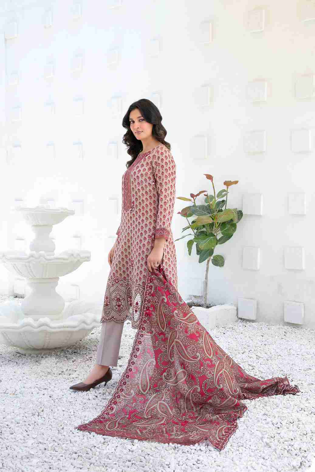 Ayna - Embroidered Printed Lawn Suit With Cotton Trouser | Ready To Wear