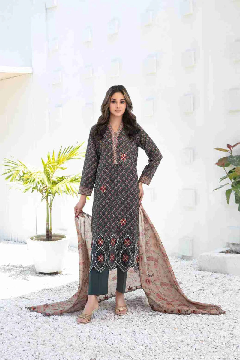 Ayna - Embroidered Printed Lawn Suit With Cotton Trouser | Ready To Wear