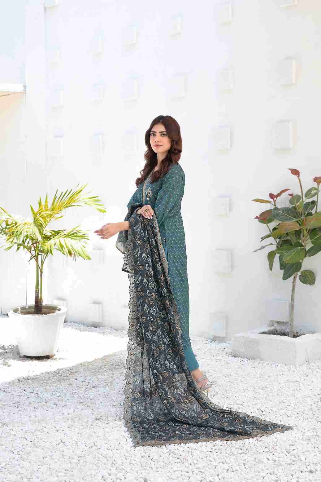 Ayna - Embroidered Printed Lawn Suit With Cotton Trouser | Ready To Wear