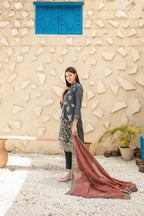 Printed Fancy Lawn Suit with Digital Printed Lawn Dupatta | Ready To Wear