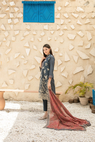 Printed Fancy Lawn Suit with Digital Printed Lawn Dupatta | Ready To Wear