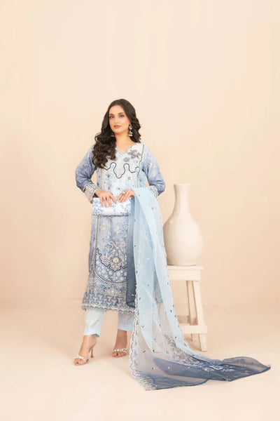 Naqsh -  Embroidered Organza Suit with Plain Trouser - Ready to Wear