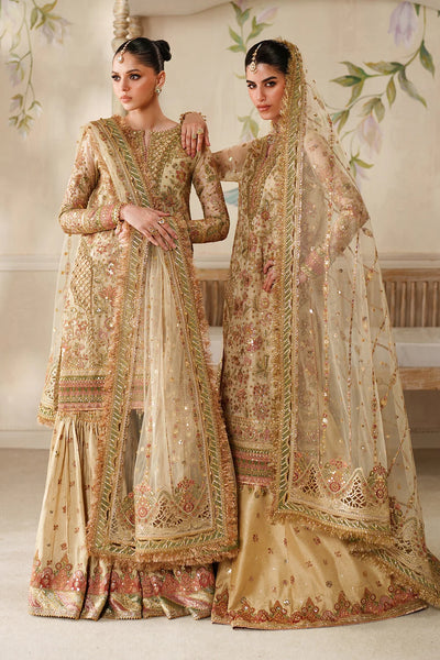 Champagne Gold & Soft Coral: Embroidered Bridal Chiffon Suit | Ready To Wear