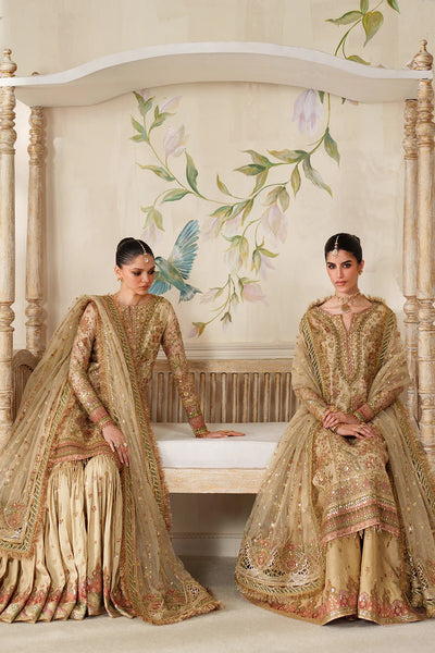 Champagne Gold & Soft Coral: Embroidered Bridal Chiffon Suit | Ready To Wear