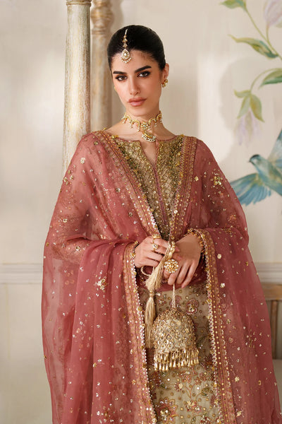 Champagne Gold & Soft Coral: Embroidered Bridal Chiffon Suit | Ready To Wear