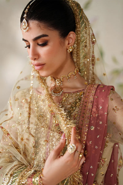 Champagne Gold & Soft Coral: Embroidered Bridal Chiffon Suit | Ready To Wear