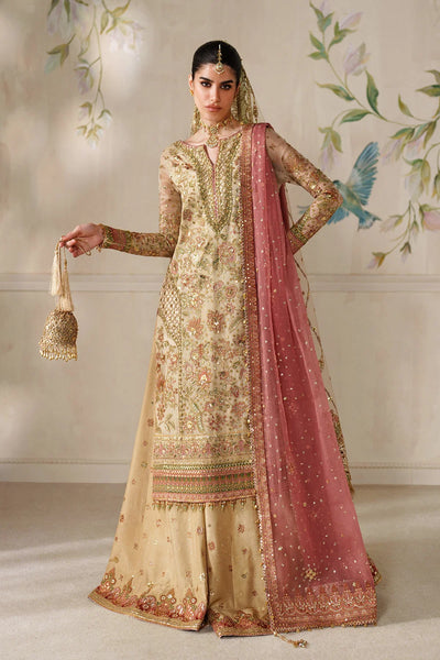 Champagne Gold & Soft Coral: Embroidered Bridal Chiffon Suit | Ready To Wear