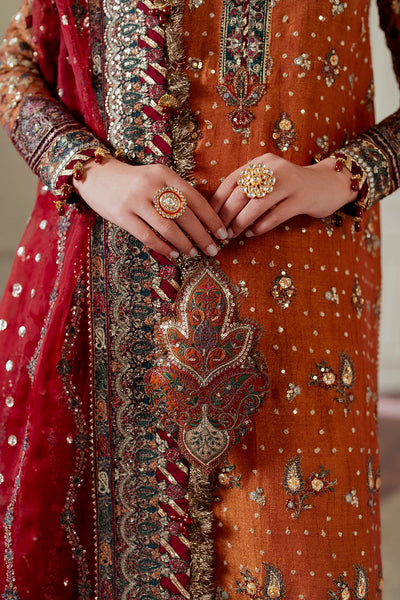 Rust Orange & Deep Maroon: Embroidered Chiffon Suit | Ready To Wear