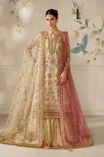 Champagne Gold & Soft Coral: Embroidered Bridal Chiffon Suit | Ready To Wear