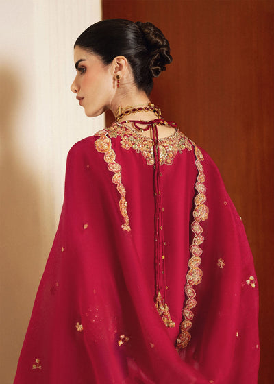 3 Pcs Embroidered Raw Silk Suit with Organza Dupatta | Ready To Wear