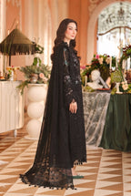 Black Embroidered chiffon Suit  | Ready To Wear