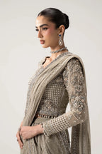 Taupe Grey & Metallic Silver: Embroidered Chiffon Saree | Ready To Wear