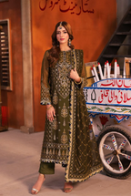 Deep Olive Green & Antique Gold: Embroidered Chiffon Suit